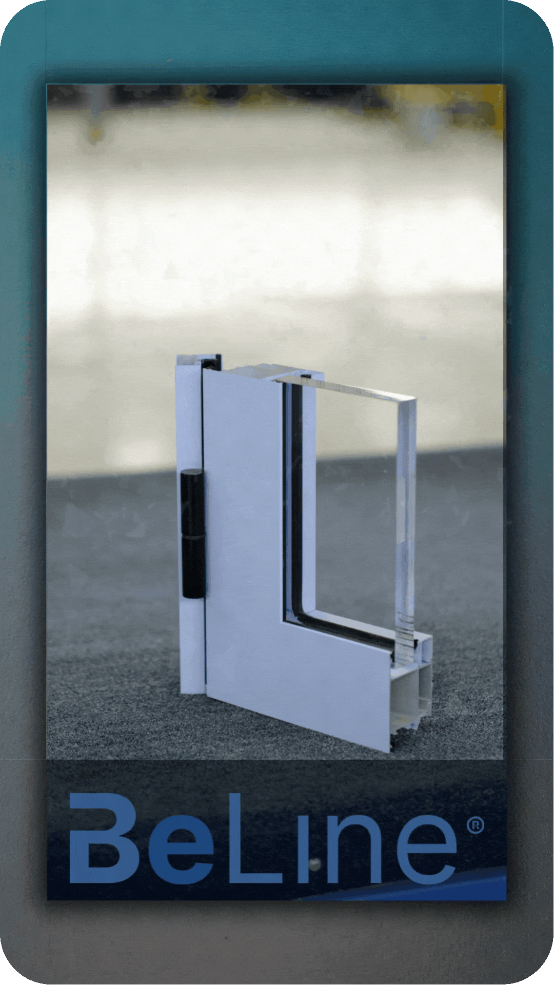 B‑Line System Sample